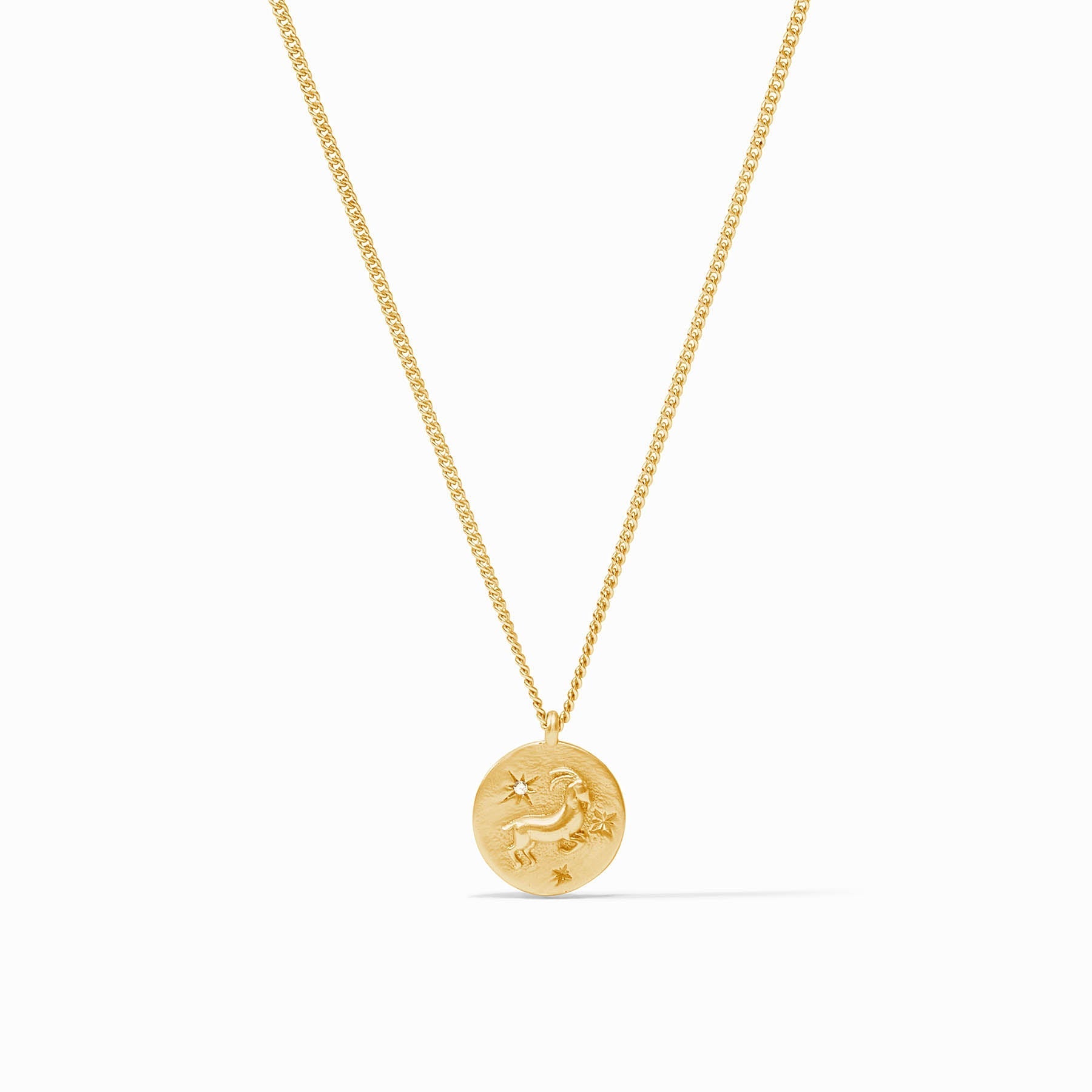 Zodiac Delicate Necklace - Capricorn